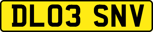 DL03SNV