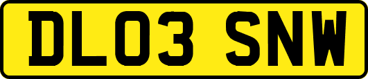 DL03SNW