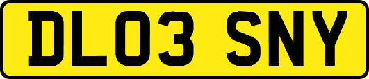DL03SNY