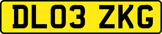 DL03ZKG