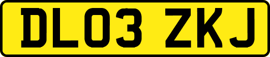 DL03ZKJ