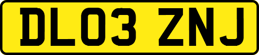 DL03ZNJ