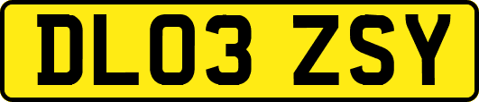 DL03ZSY