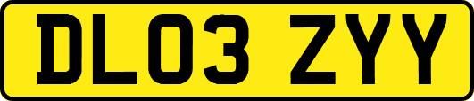 DL03ZYY