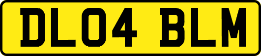 DL04BLM
