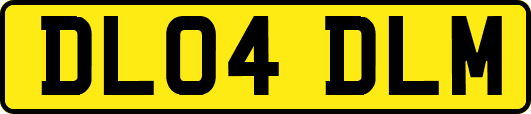 DL04DLM