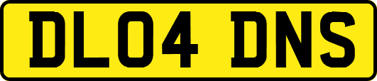 DL04DNS