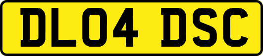 DL04DSC