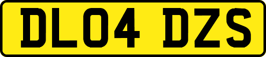 DL04DZS