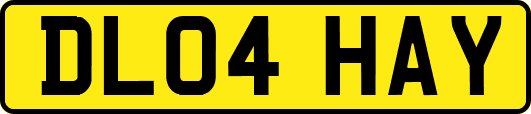 DL04HAY