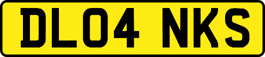 DL04NKS