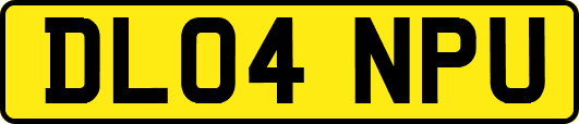 DL04NPU