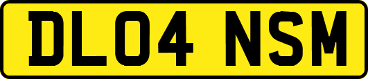 DL04NSM