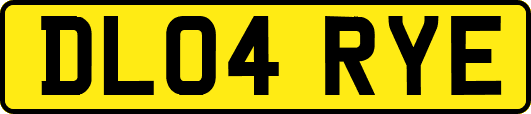 DL04RYE