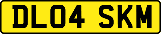 DL04SKM