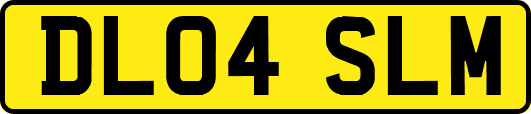 DL04SLM