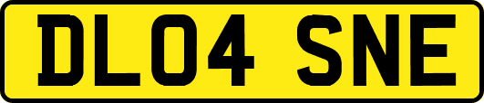 DL04SNE