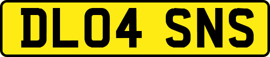 DL04SNS