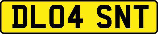 DL04SNT