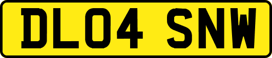 DL04SNW