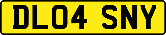 DL04SNY