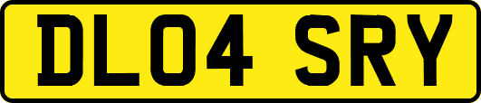 DL04SRY