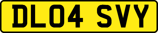 DL04SVY