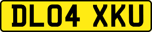 DL04XKU