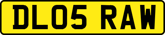 DL05RAW