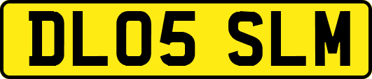 DL05SLM