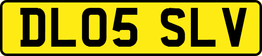 DL05SLV