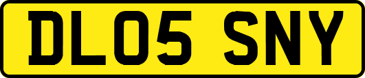 DL05SNY