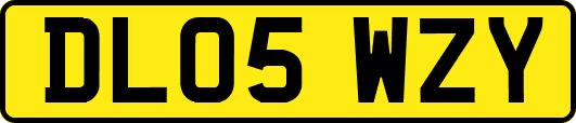 DL05WZY