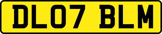 DL07BLM