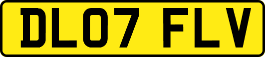 DL07FLV