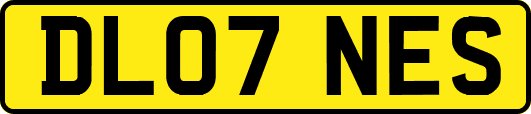 DL07NES