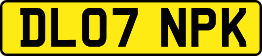 DL07NPK