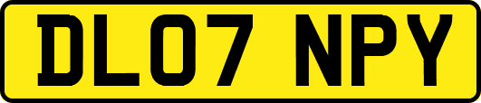 DL07NPY
