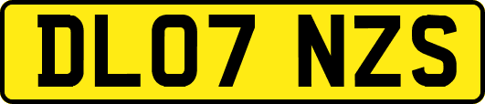 DL07NZS