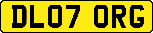 DL07ORG