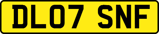 DL07SNF