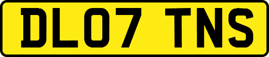 DL07TNS