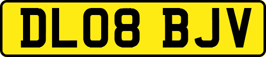 DL08BJV