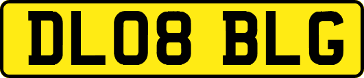 DL08BLG