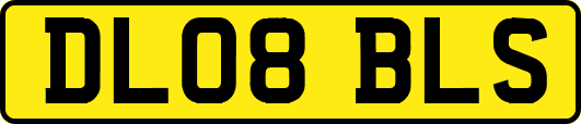 DL08BLS