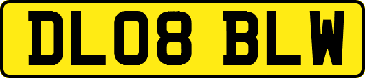 DL08BLW