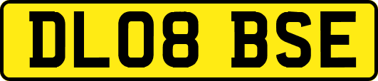 DL08BSE