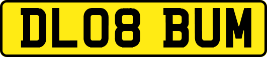 DL08BUM