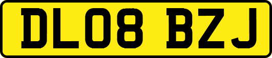 DL08BZJ