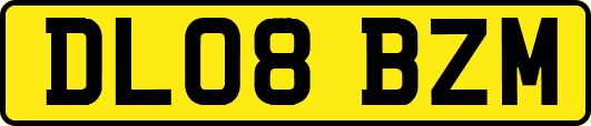 DL08BZM